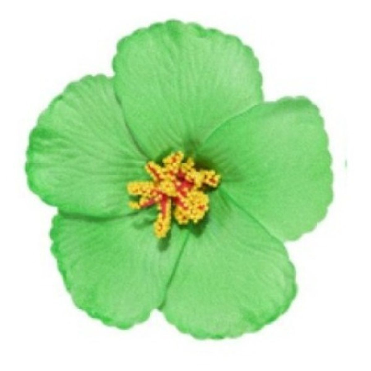 GENERICO - Flor Hibisco Verde Con Pinza para el cabello