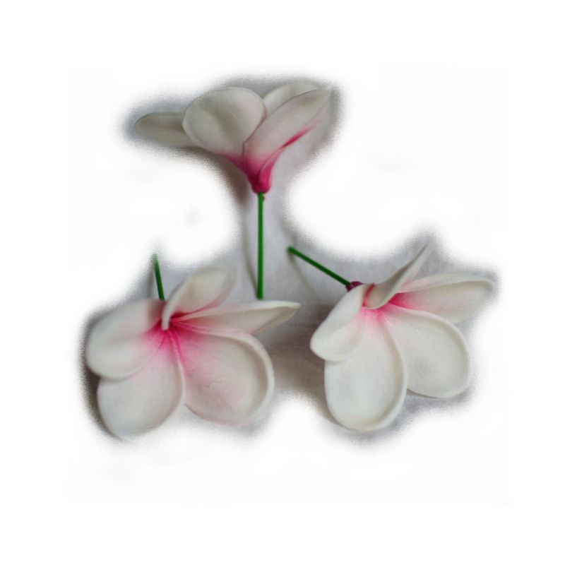 GENERICO - Flor con pinza para el Cabello Frangipanie Blanco Rosado