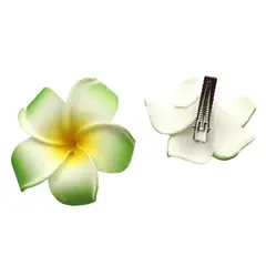 GENERICO - Pinza para el Cabello Frangipanie Verde Con Blanco