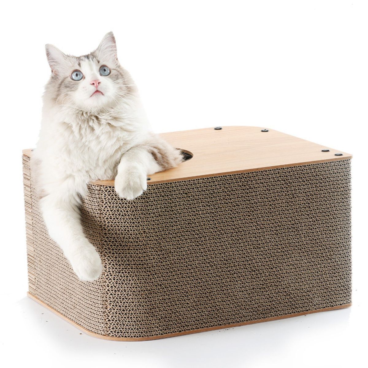 GENERICO - Casa Rascador Armable para Gato