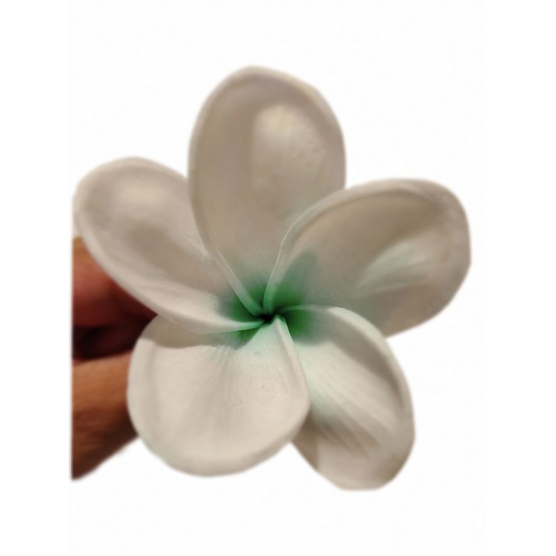 GENERICO - Flor Frangipanie blanco con verde Con Palito para cabello