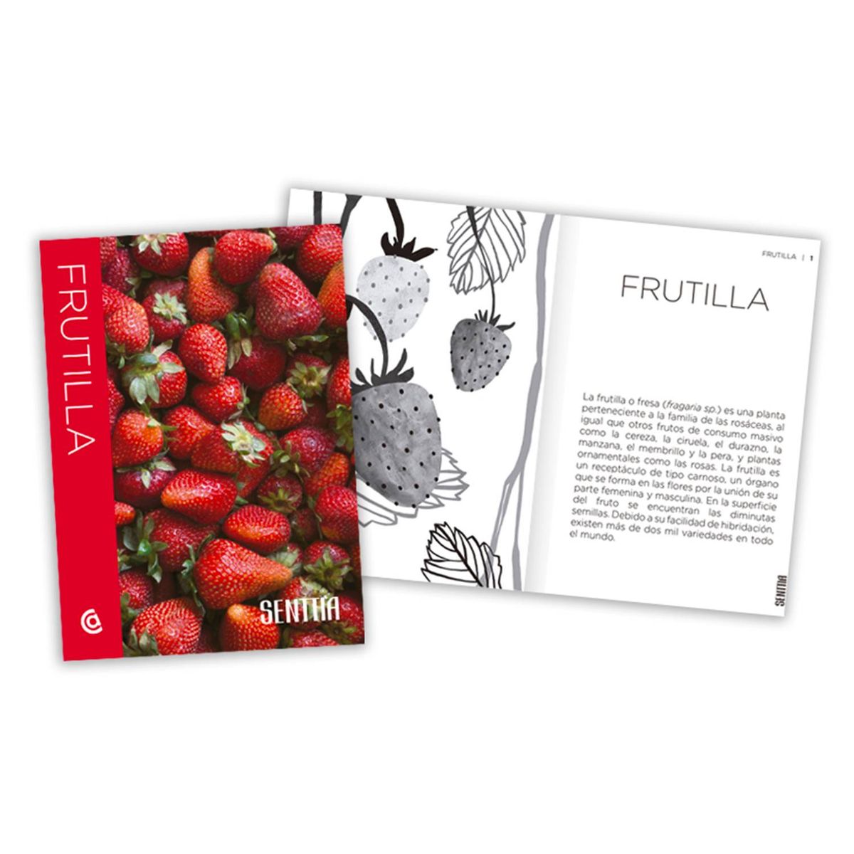 CATAPULTA - Senttia Frutilla 9789876377171