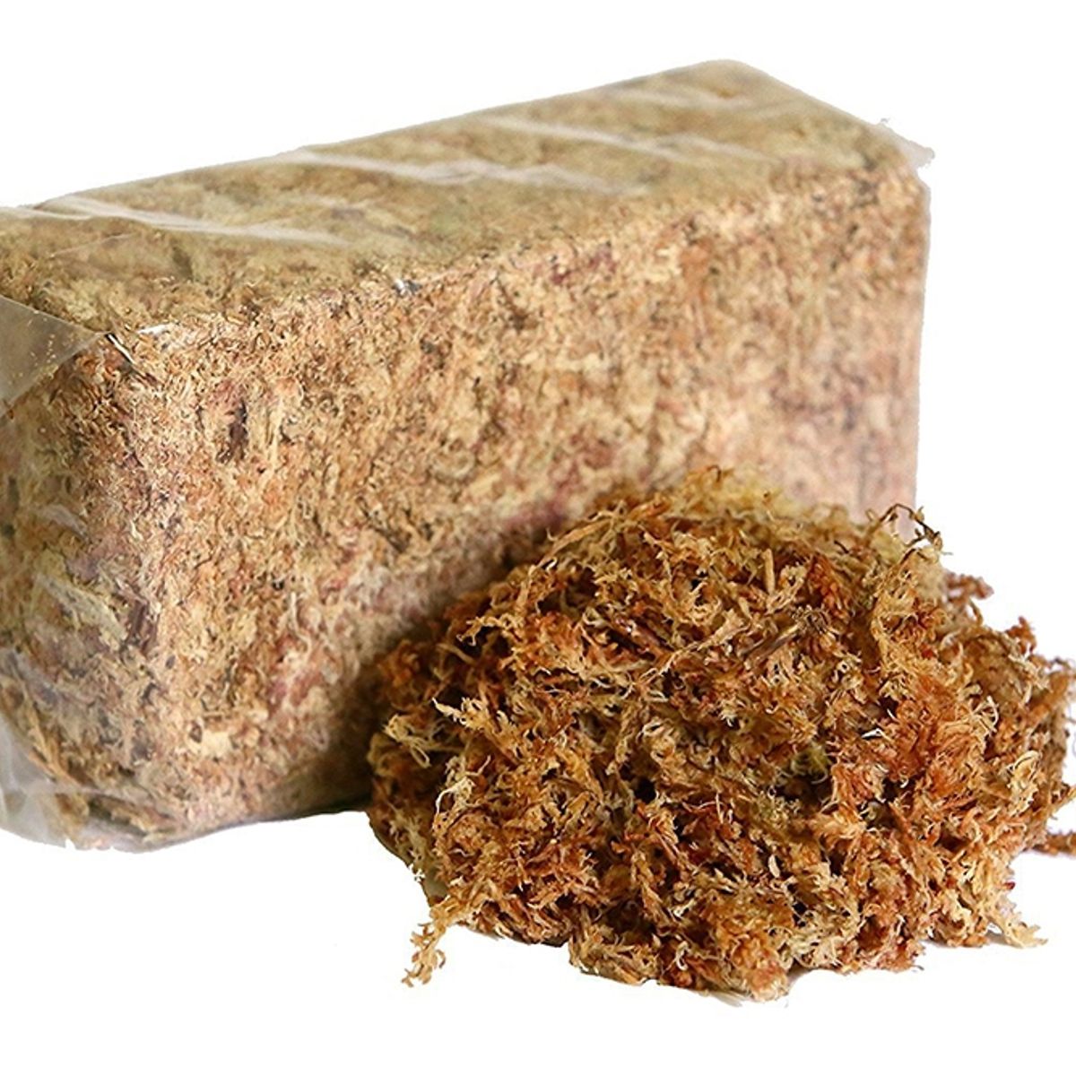 GENERICO - Musgo sphagnum para planta carnívoras  KOKEDAMAS - ORQUIDEAS