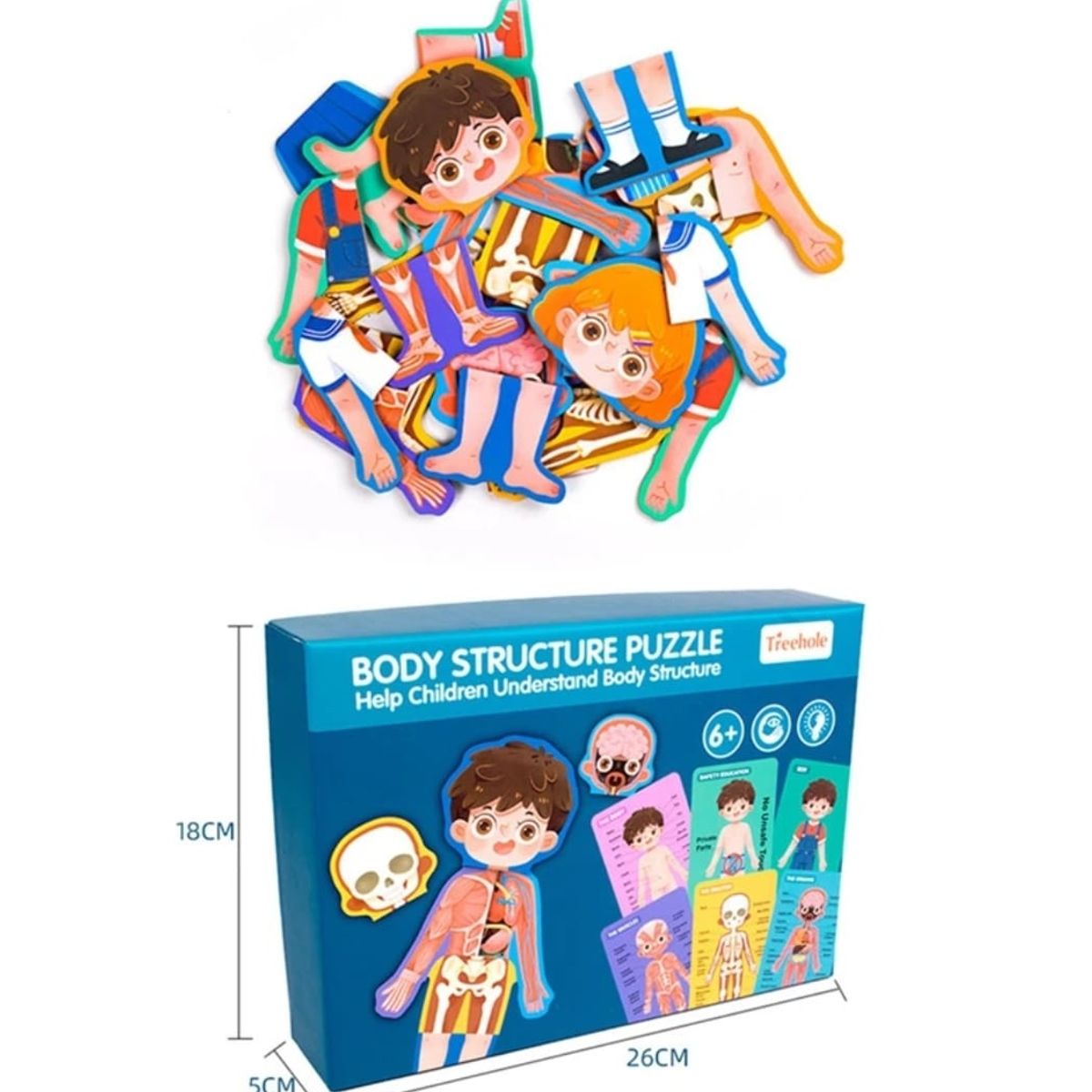 GENERICO - Puzzle De Madera Cuerpo Humano