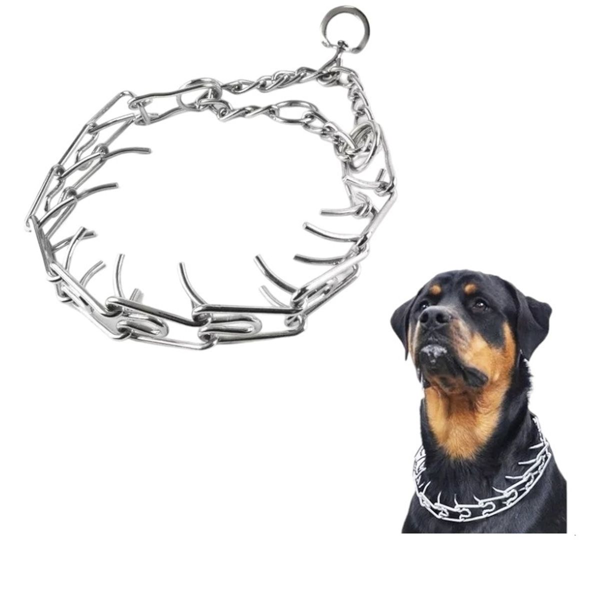 DEFENSOR FOREVER - Collar de entrenamiento Perros Grandes Talla XL 60cm