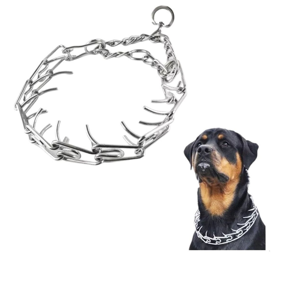 DEFENSOR FOREVER - Collar de entrenamiento Perros Grandes Talla XL 60cm