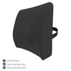 THERAMART - Cojín Ortopédico Lumbar Therashape TM322 para Corrección de Postura