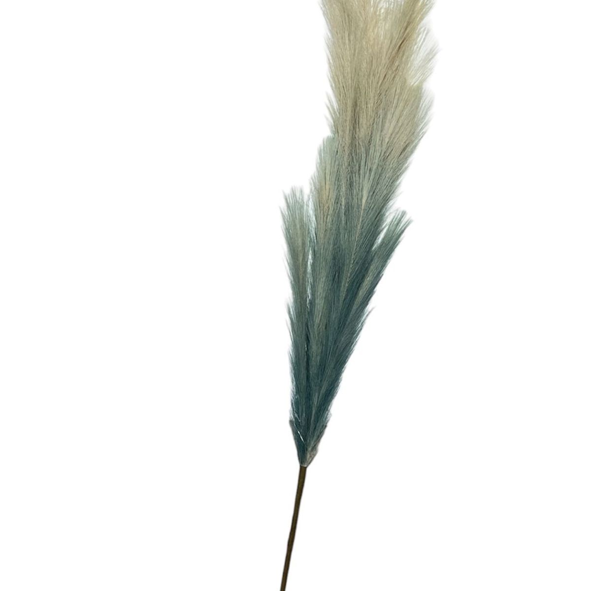 GENERICO - Flor Artificial De Pampa Artificial Flores Decorativas 100cm