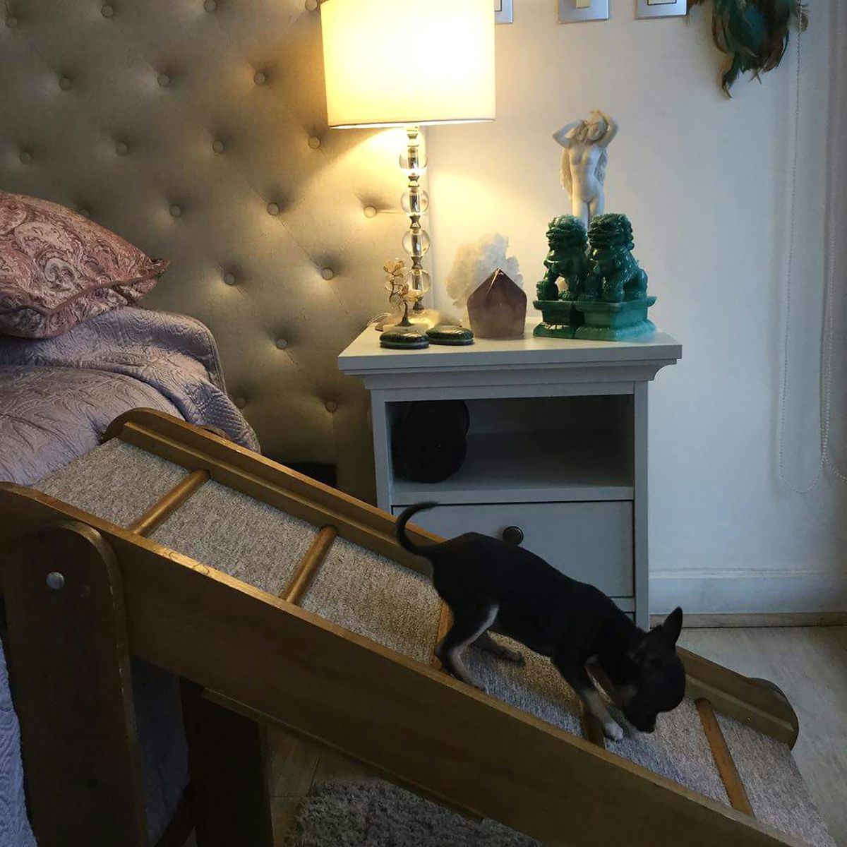 GENERICO - Rampa  mascotas madera plegable.