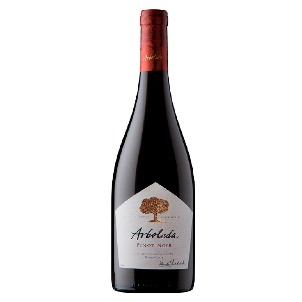 ARBOLEDAA - Vino Arboleda Pinot Noir 14° 750cc