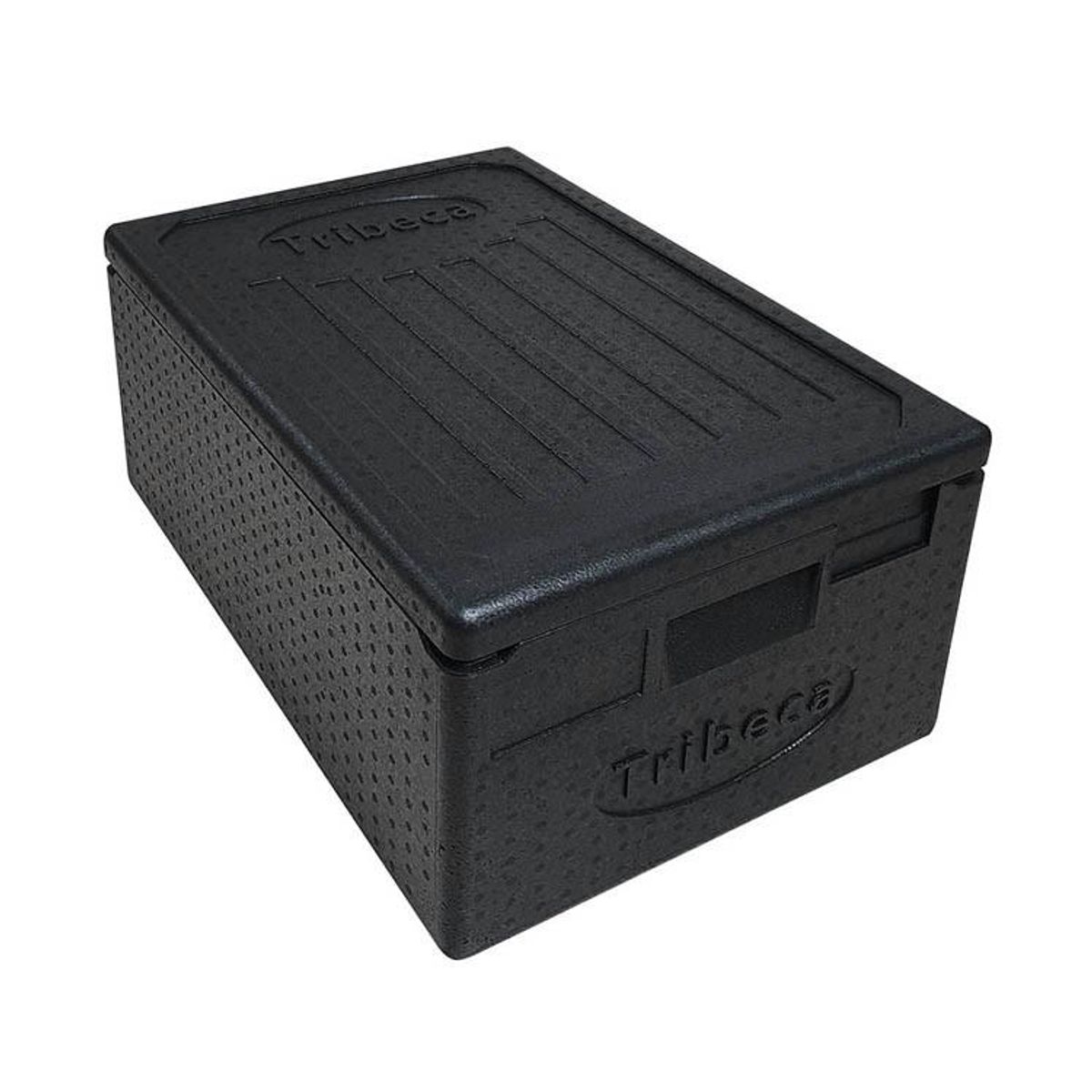 GENERICO - Contenedor Isotermico Epp Gn 11X20 Cms TRIBECA