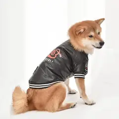 GENERICO - Chaqueta para Perros Bomber Big Size- Talla 4XL