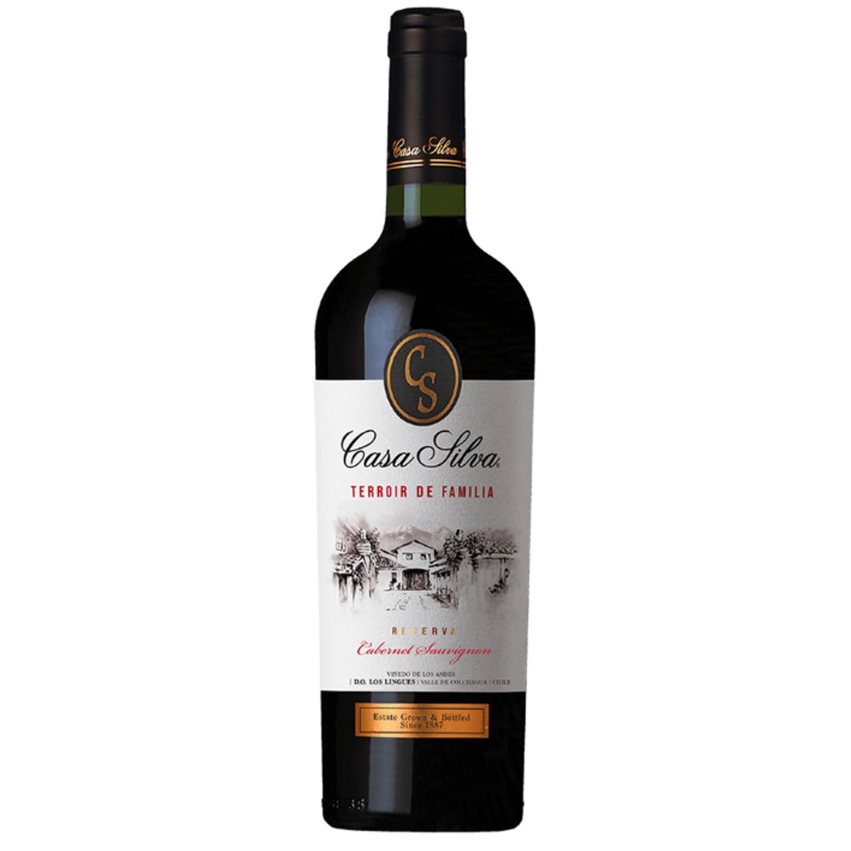 CASA SILVA - Vino Casa Silva Terroir de Familia Cabernet Sauvignon 750cc