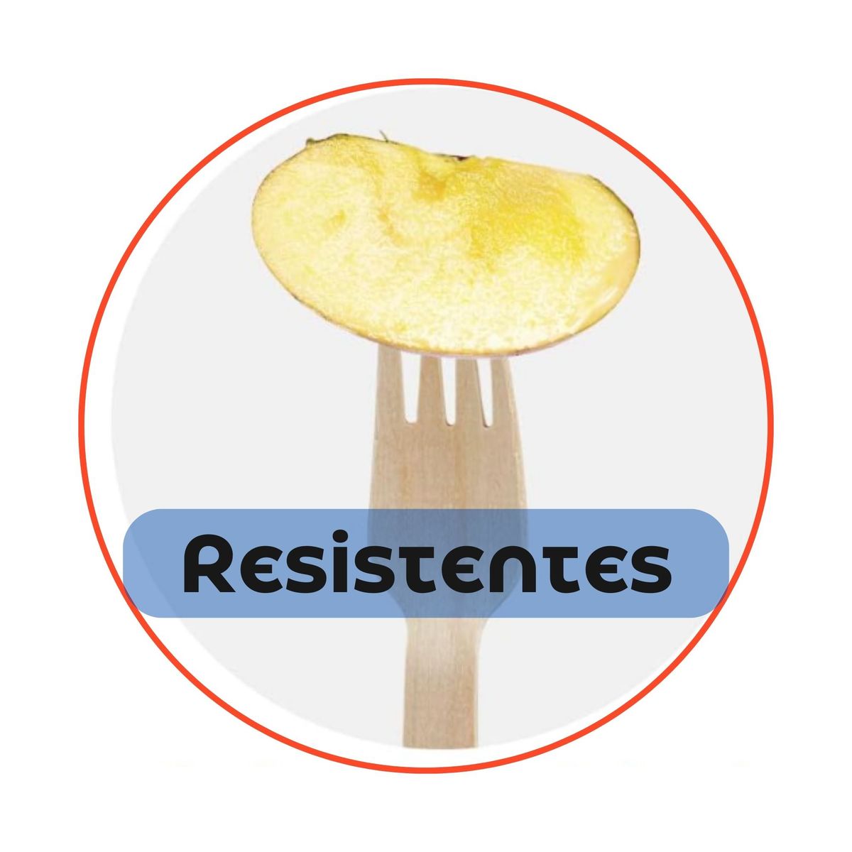OMNIPACK - Cucharas De Madera Ecológicas 16 cm (1.000 Unidades)