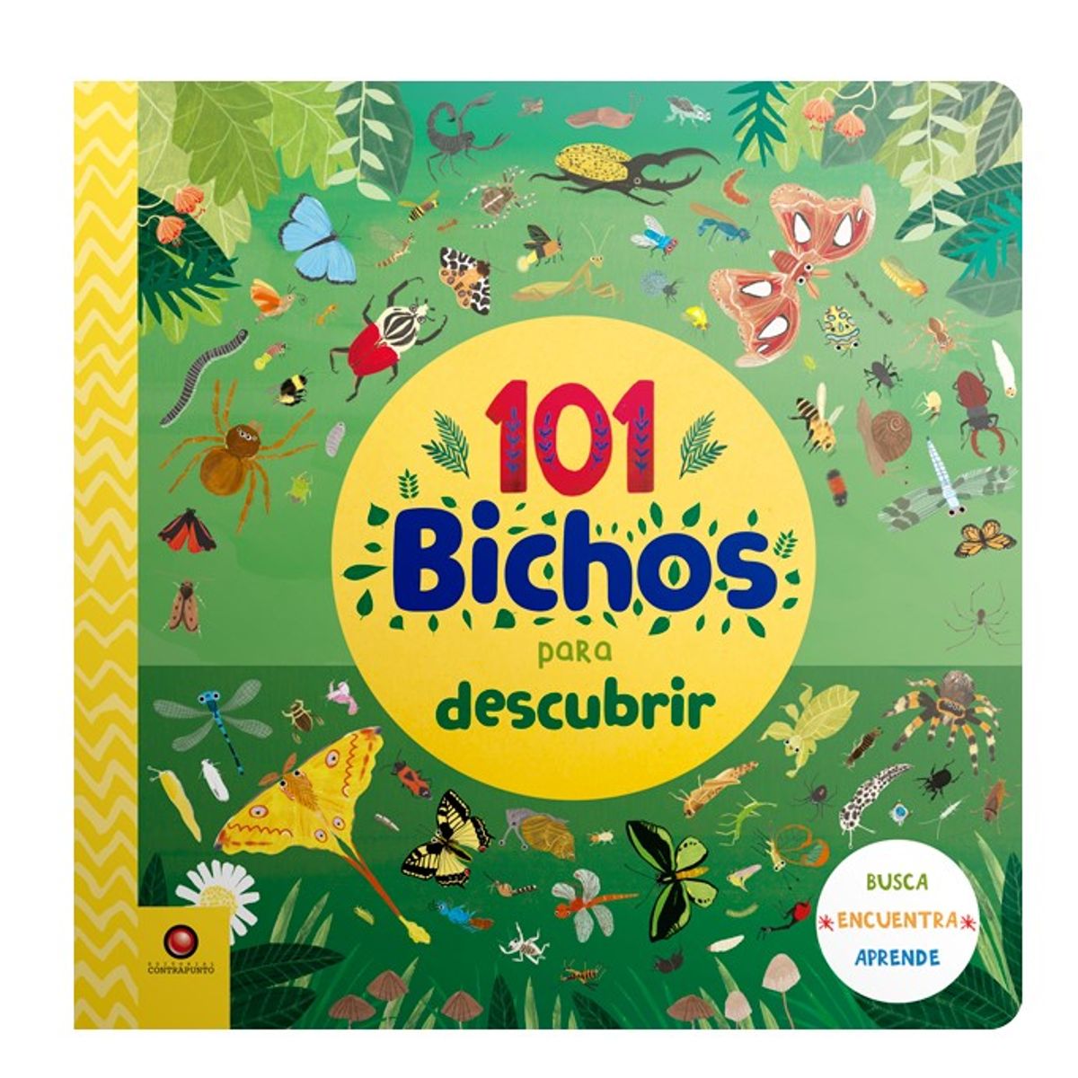EDITORIAL CONTRAPUNTO - 101 bichos para descubrir