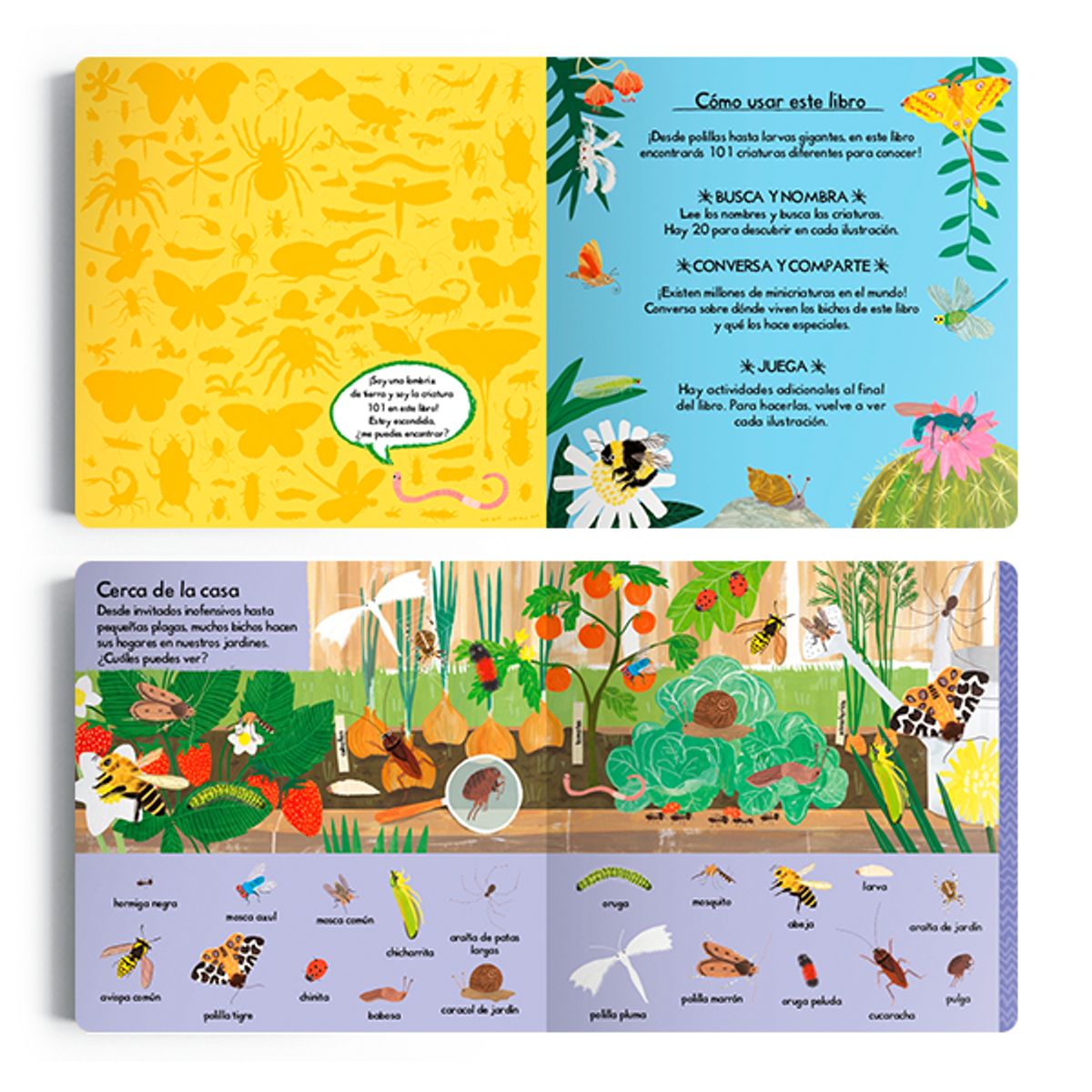 EDITORIAL CONTRAPUNTO - 101 bichos para descubrir