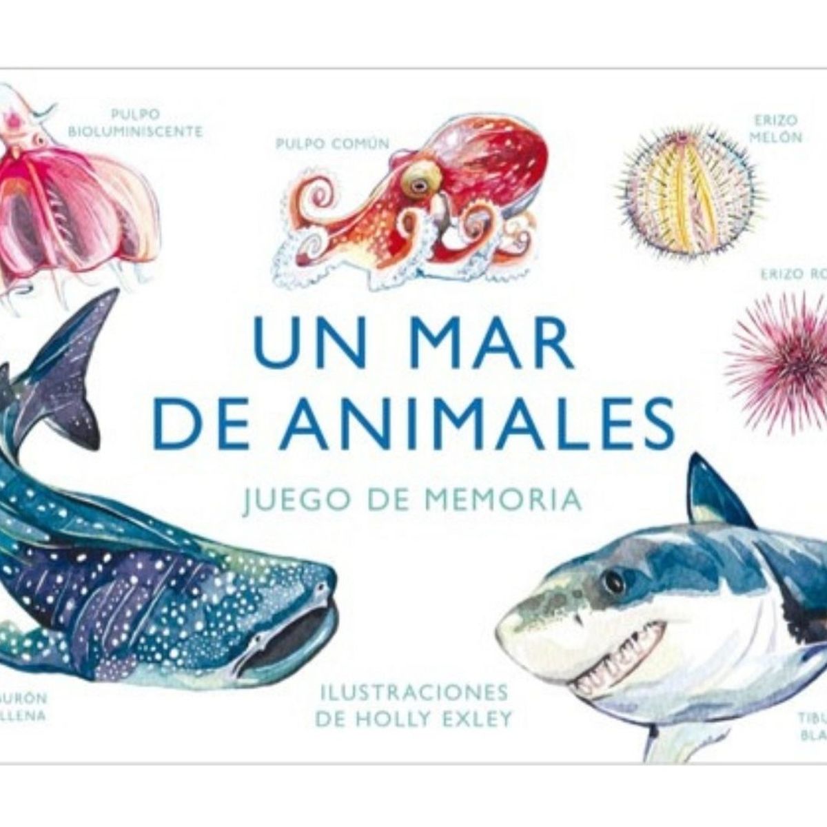 MTM - Un Mar De Animales. Juego De Memoria