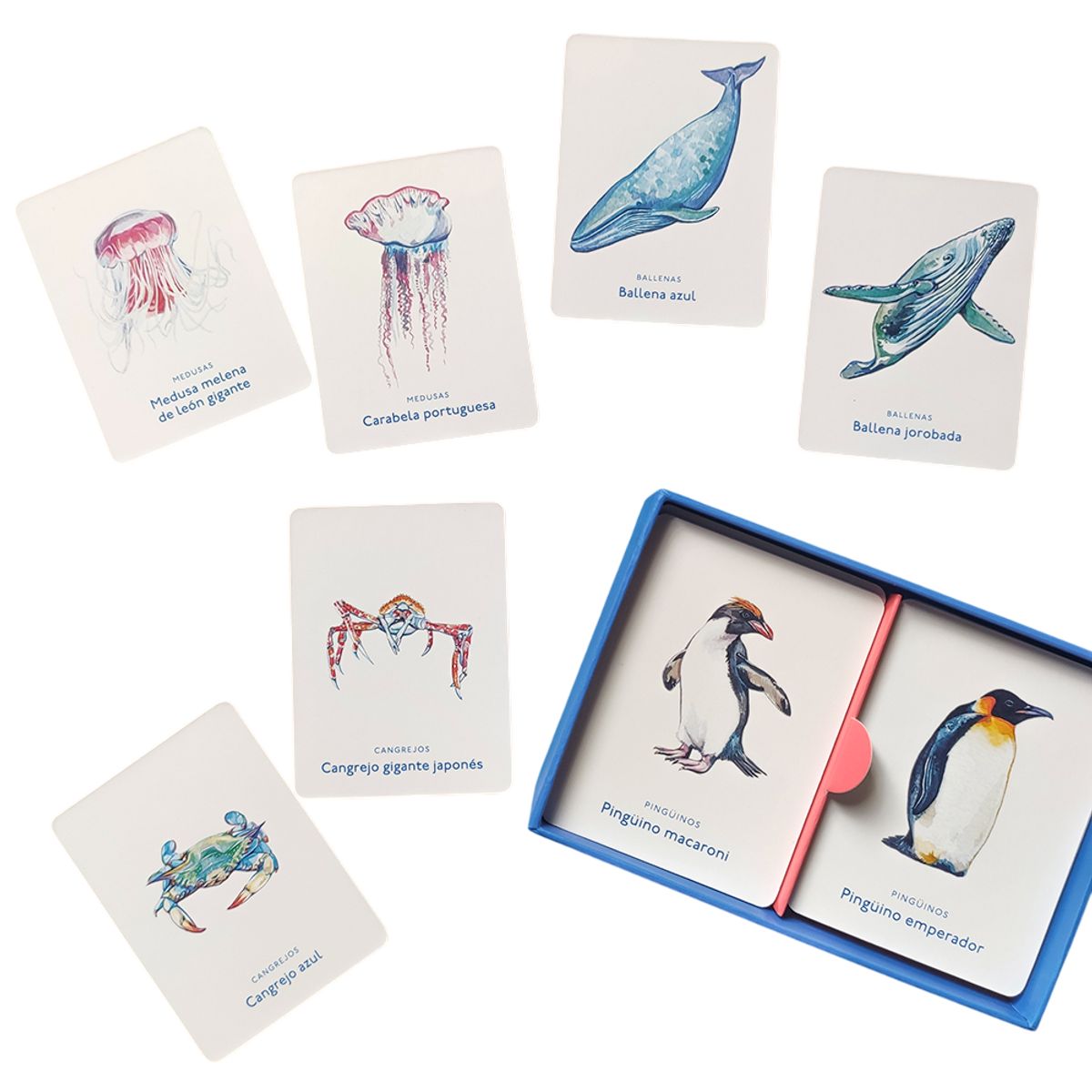 MTM - Un Mar De Animales. Juego De Memoria