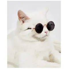 GENERICO - Gafas De Sol Lentes Para Gatos Y Perros Moda Mascotas