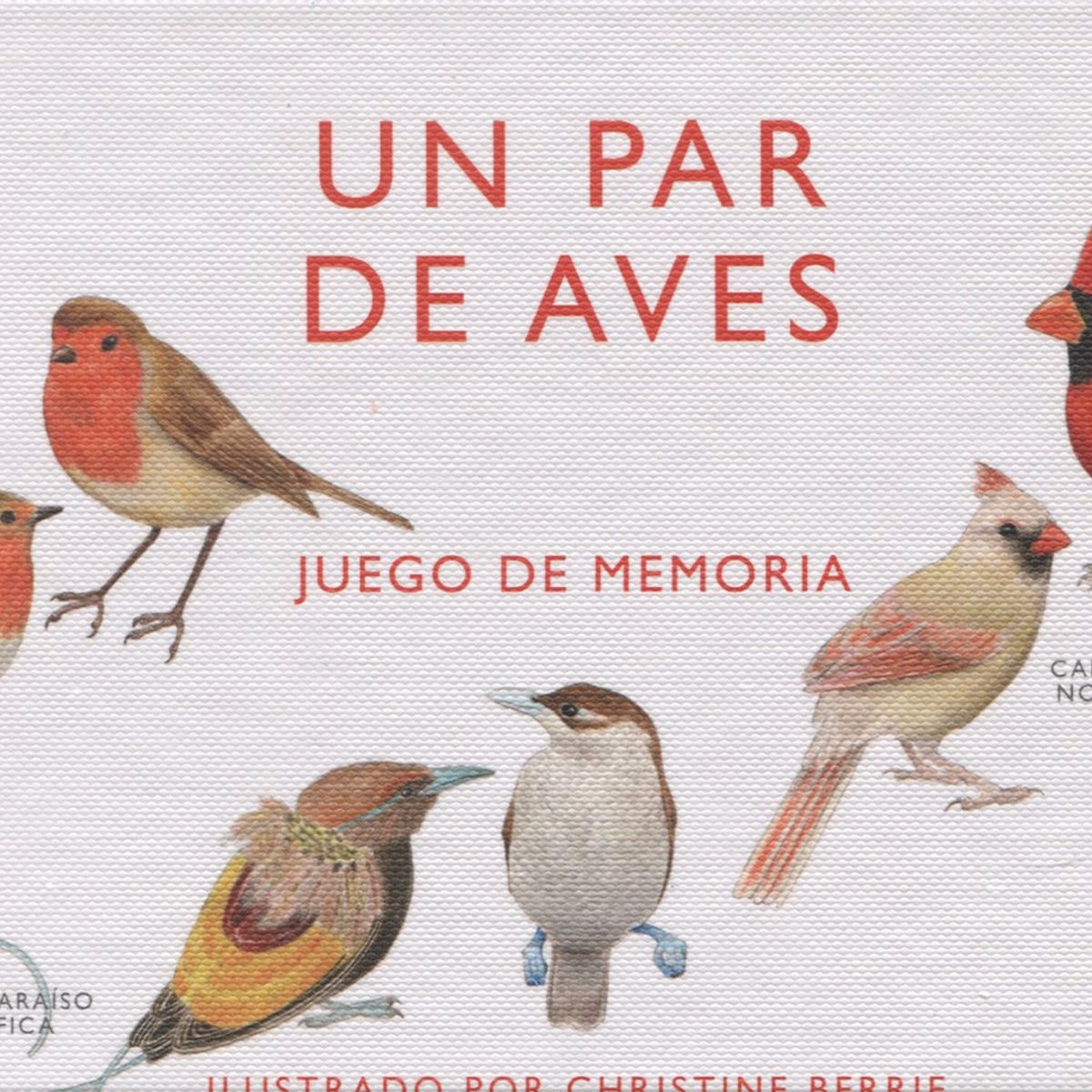 MTM - Un Par De Aves. Juego De Memoria