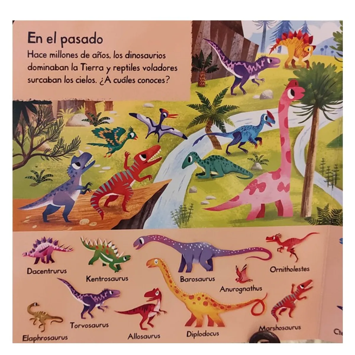 EDITORIAL CONTRAPUNTO - 101 dinosaurio para descubrir