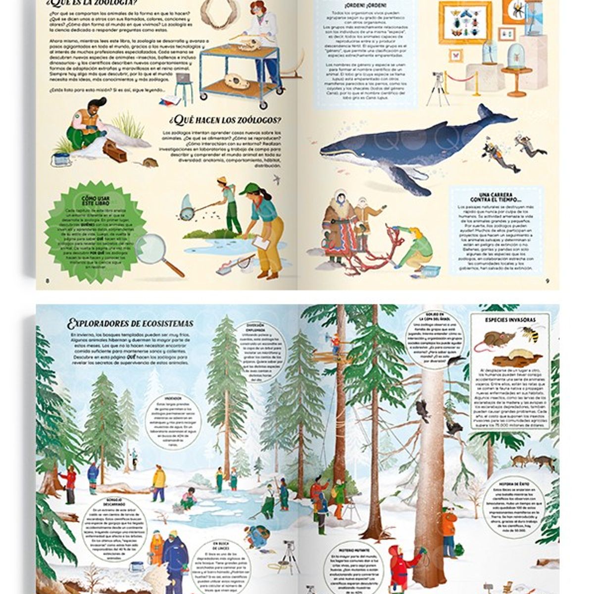 EDITORIAL CONTRAPUNTO - Zoología. La Ciencia Que Estudia El Reino Animal