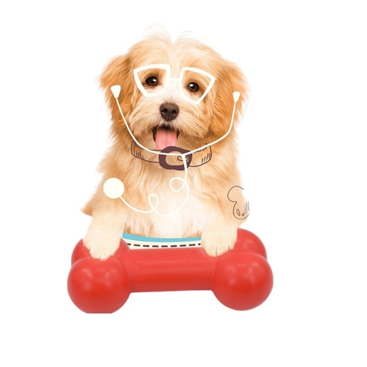 DEFENSOR FOREVER - Juguete de forma de hueso Para Perros Grandes