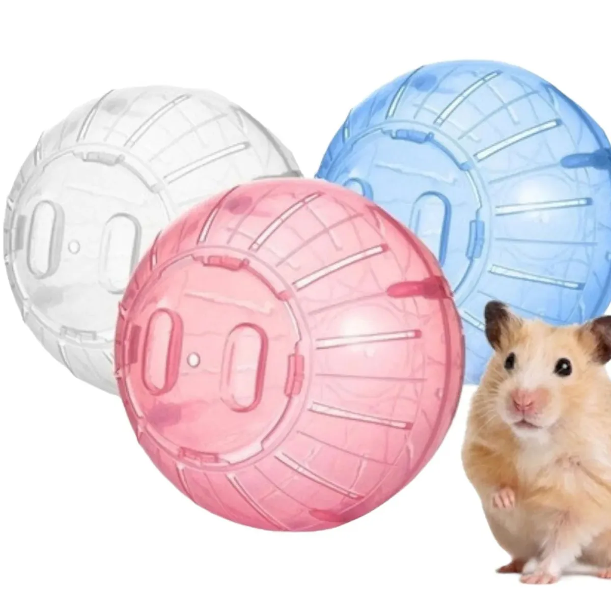 GENERICO - Bola Esfera Hamsters 26,5cm Juguete Roedor L673