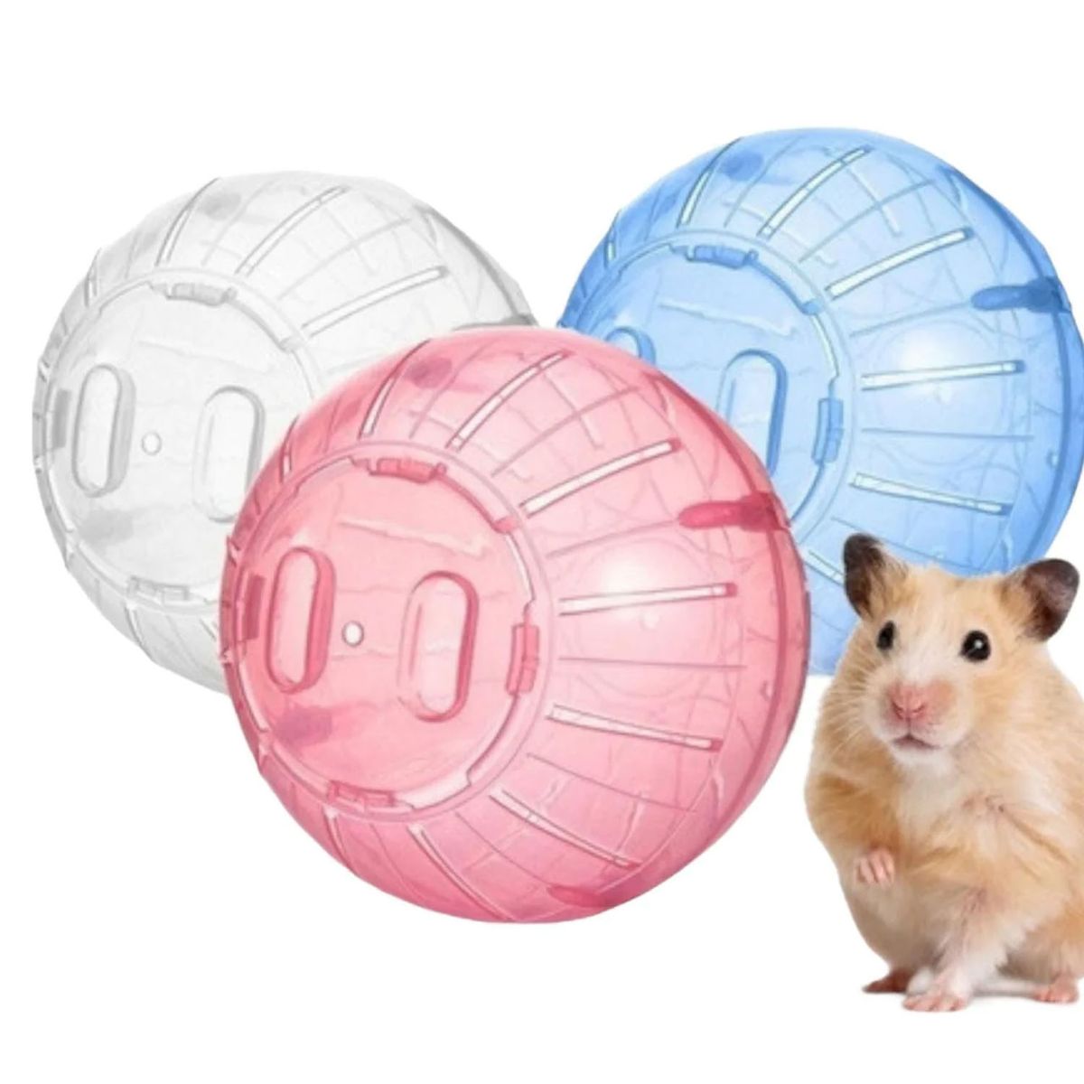 GENERICO - Bola Esfera Hamsters 26,5cm Juguete Roedor L673
