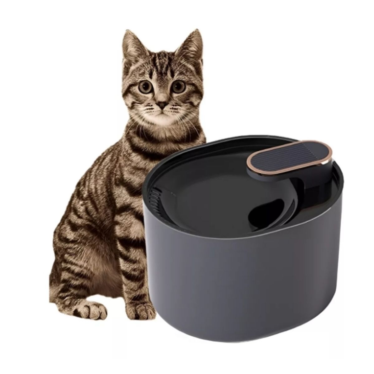 GENERICO - Bebedero Gato Dispensador Agua Fuente Perro Mascota Bebedero