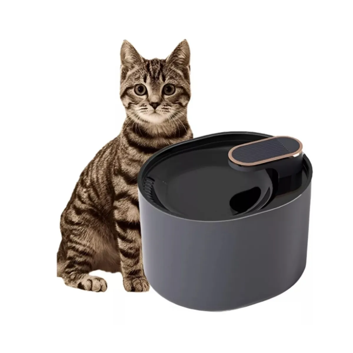 GENERICO - Bebedero Gato Dispensador Agua Fuente Perro Mascota Bebedero