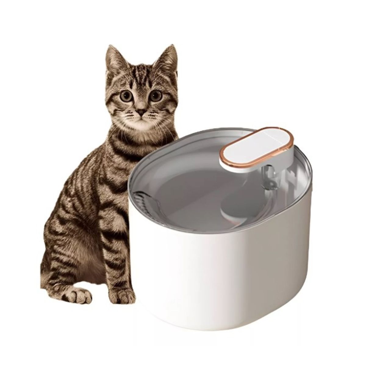 GENERICO - Bebedero Gato Dispensador Agua Fuente Perro Mascota Bebedero