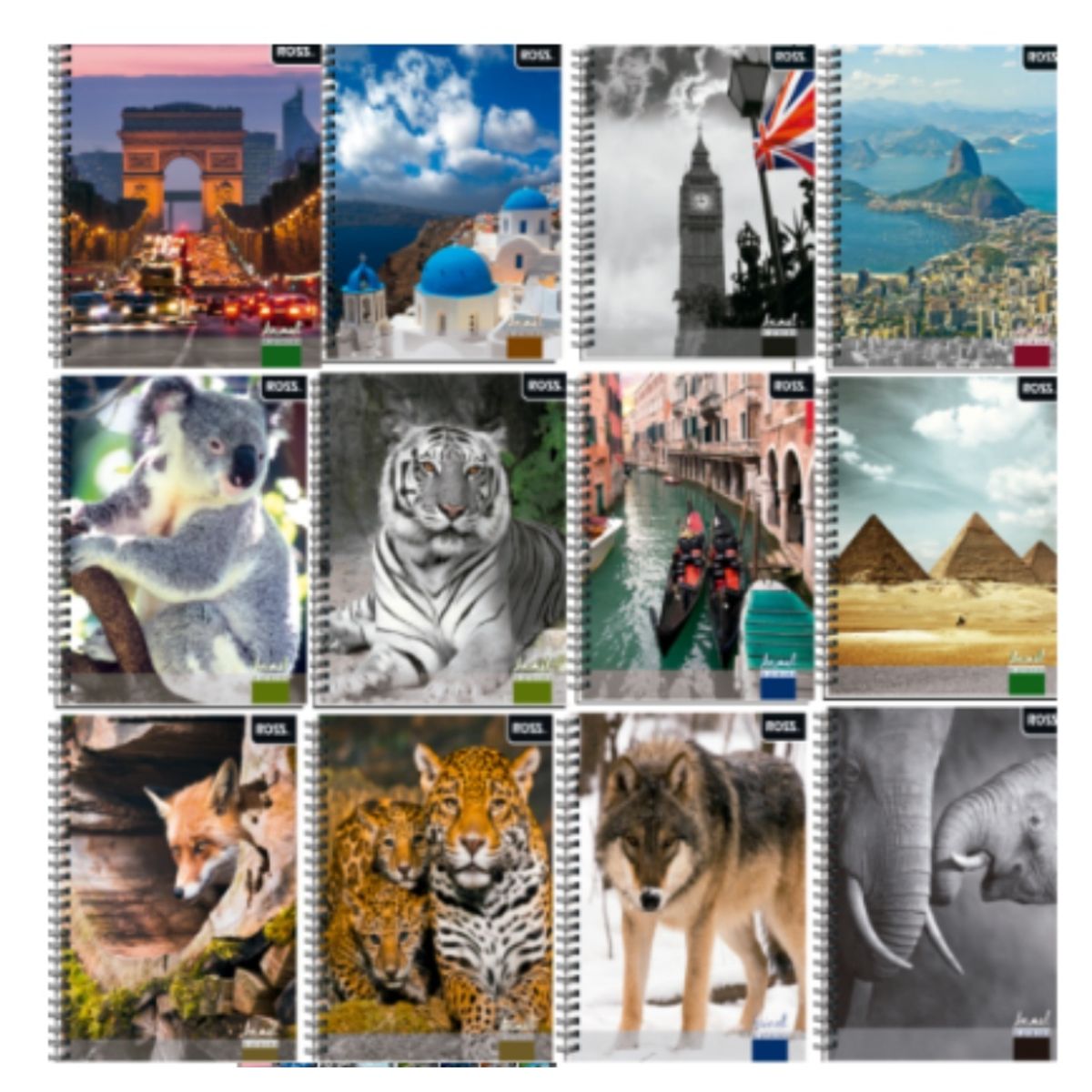 OEM - PACK 10PCS CUADERNOS UNIV ROSS DISEÑO ANIMAL Y PLACES