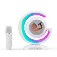 Parlante Bluetooth Karaoke Portatil Doble Microfono USB