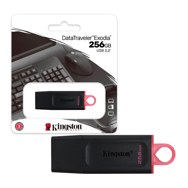 KINGSTON - Pendrive Kingston USB 3.2 256GB DataTraveler Exodia 100MB/s