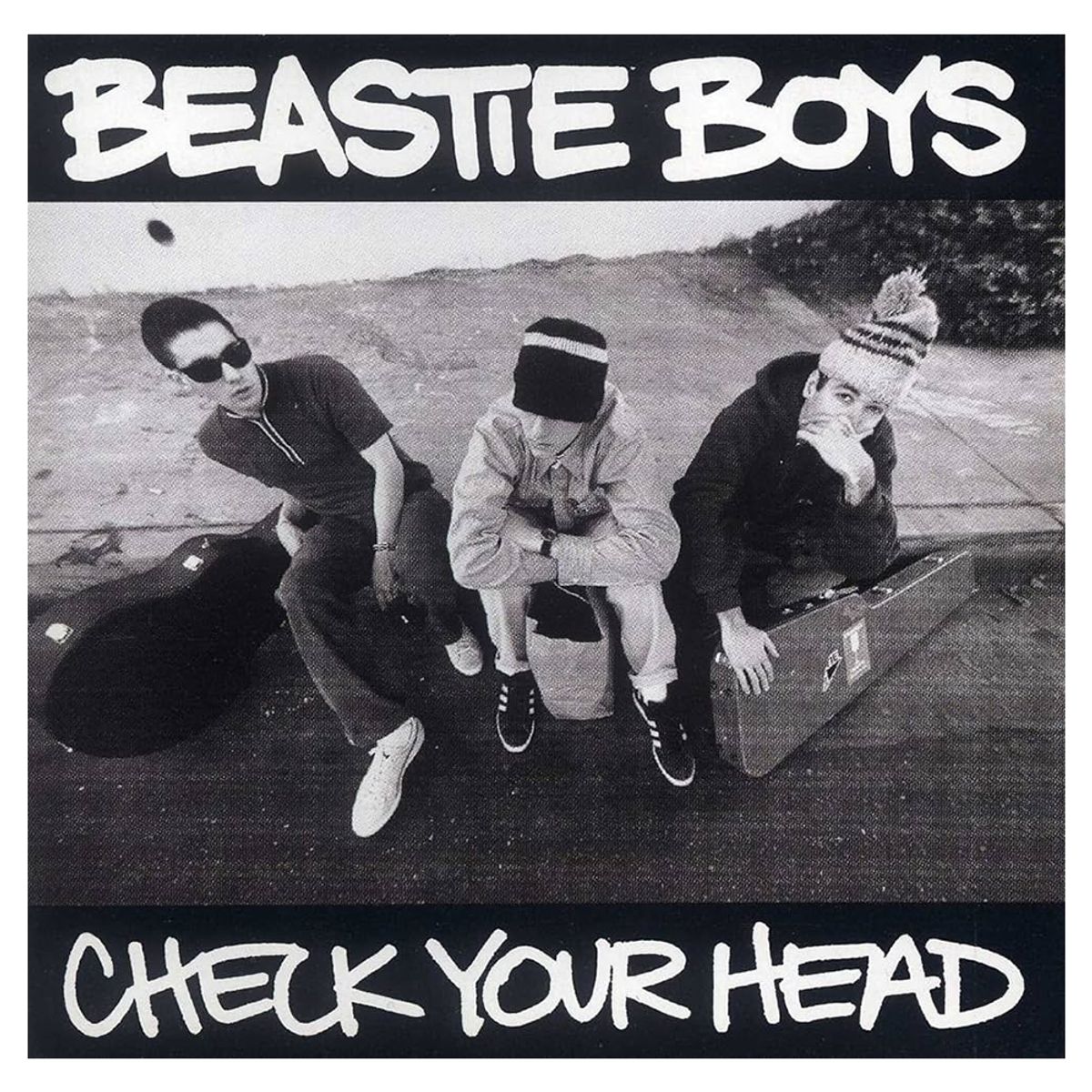 CAPITOL RECORDS - Beastie Boys - Check Your Head - Vinilo Doble