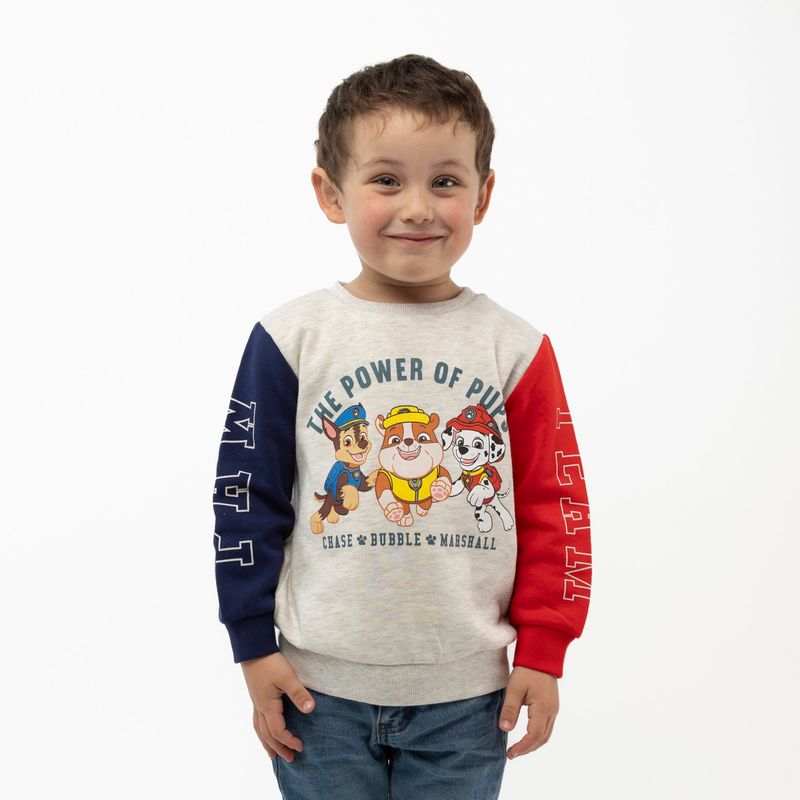 PAW PATROL - Poleron Niño Power Team Gris Paw Patrol