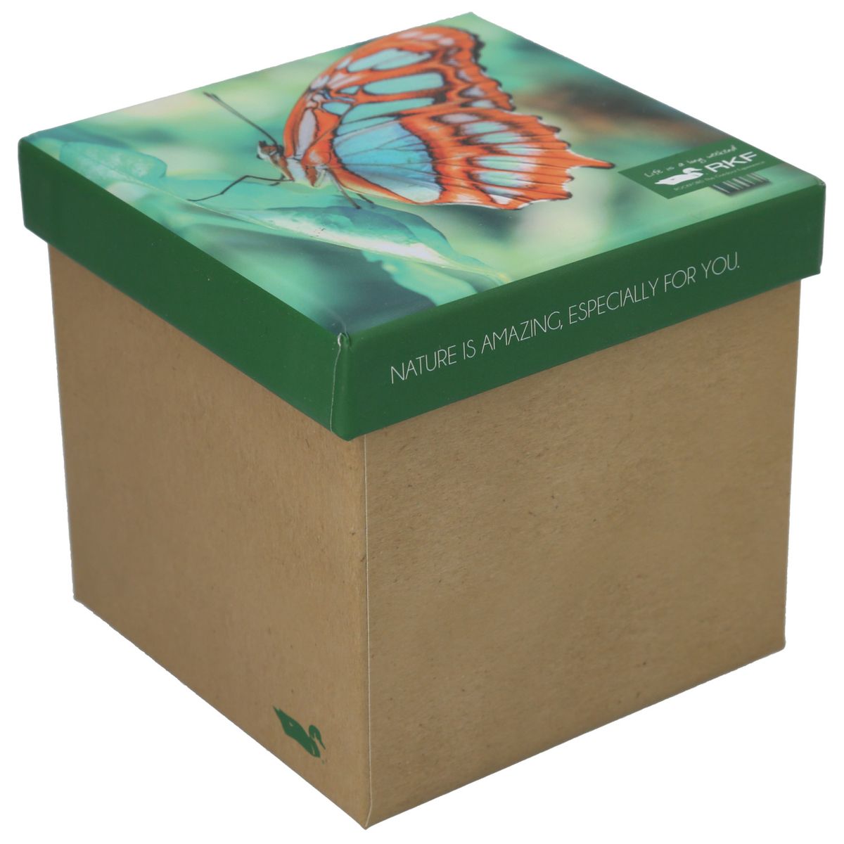 ROCKFORD - Calcetín Bambú Mujer Pack Gift Van MultiColor ROCKFORD