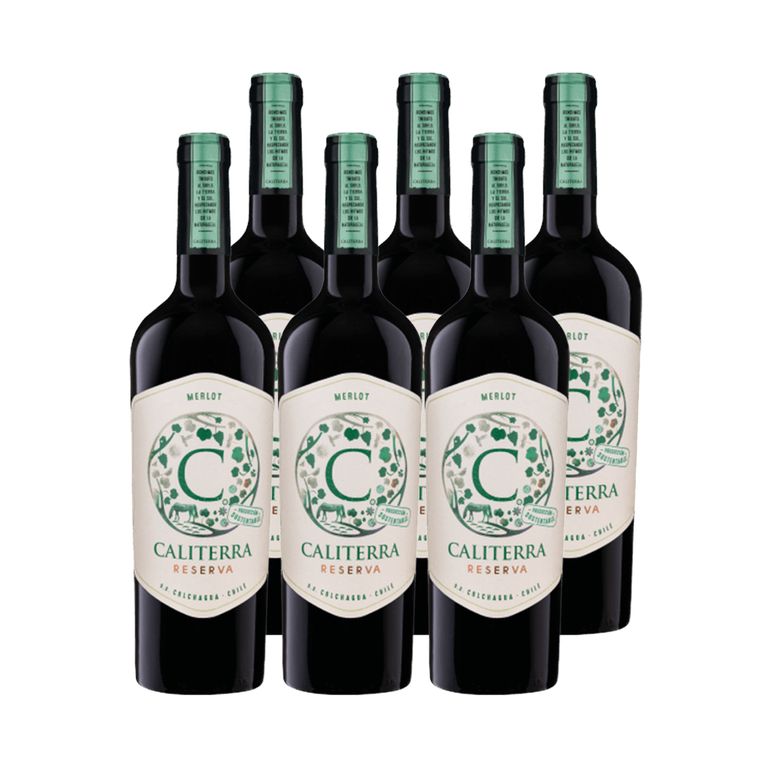 6x Vino Reserva Merlot 750cc