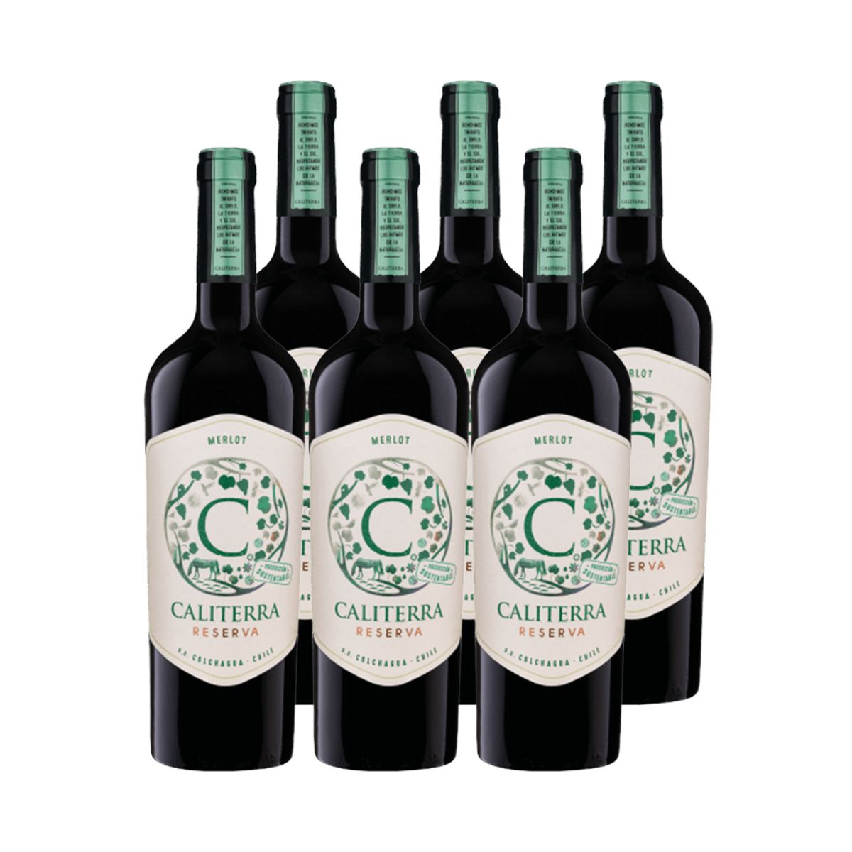 CALITERRA - 6x Vino Caliterra Reserva Merlot 750cc