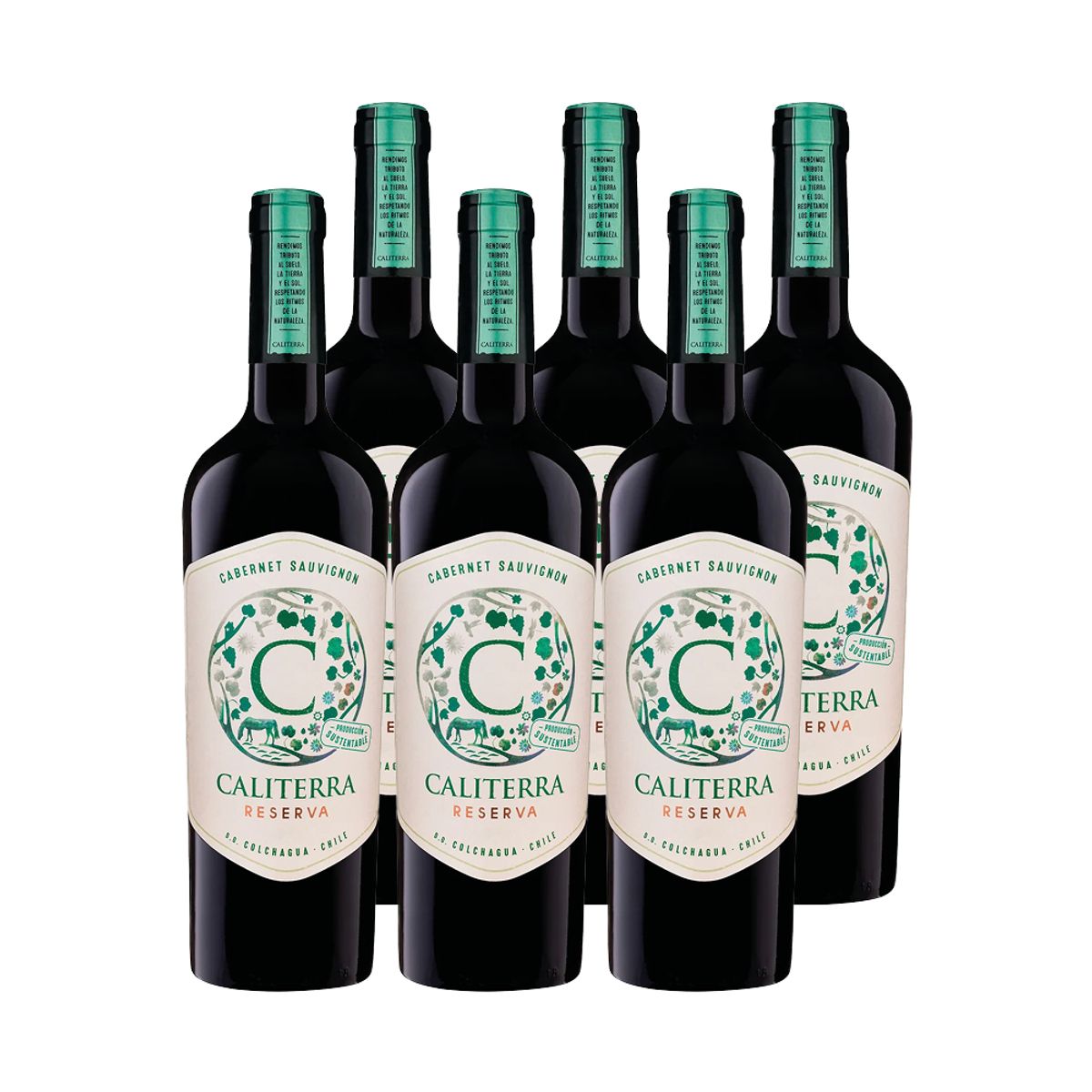 CALITERRA - 6x Vino Caliterra Reserva Cabernet Sauvignon 750cc