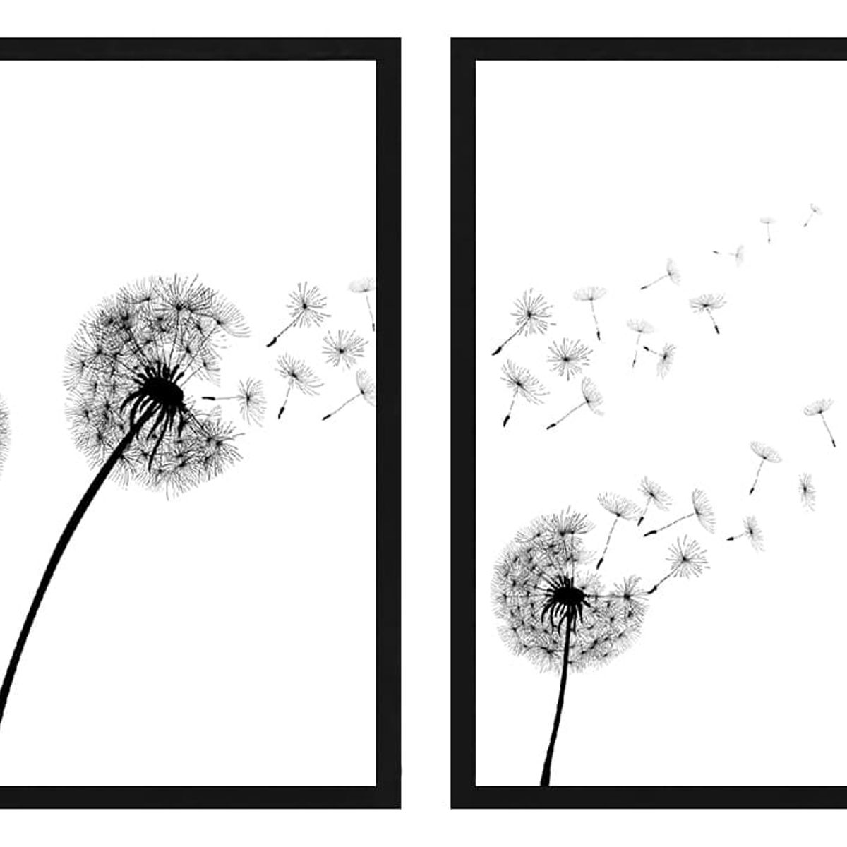 PAPEL ILUSTRADO - Set 2 Cuadros Dandelion 40x50 Marco Negro