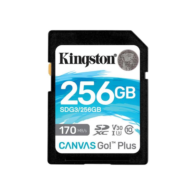KINGSTON - SDG3256GB MEMORIA SD CANVAS GO PLUS 256 GB