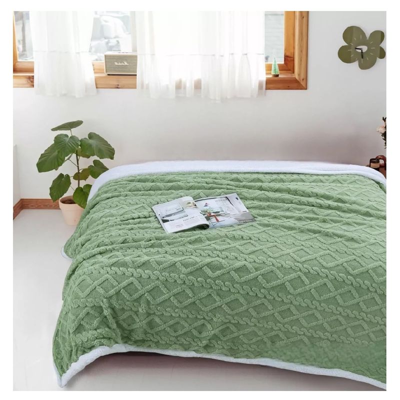 GENERICO - Frazada Polar Con Chiporro Medida 220x230cm King - 2 Plazas Verde