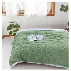 GENERICO - Frazada Polar Con Chiporro Medida 220x230cm King - 2 Plazas Verde