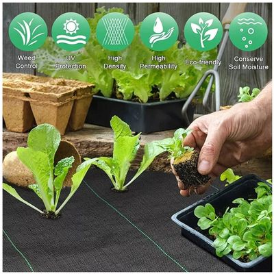 Imagen 2 del producto Ground Cover O Malla Antimaleza Cubresuelo 120cm Ancho X 10m Largo-