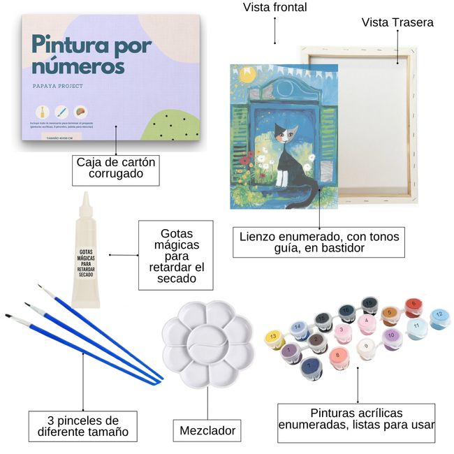 GENERICO - Pintura con números en bastidor 25x35 Gato Arte - Painting by numbers