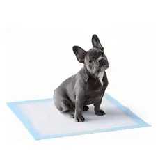 GENERICO - 100 Pañales Tipo Sabanillas Mascotas Perros Y Gato 33x45 Cms