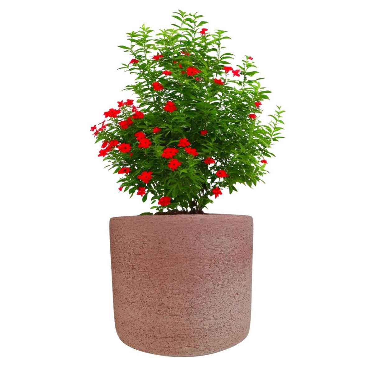 DEROMA - Maceta Luna 20cm Terracota Deroma