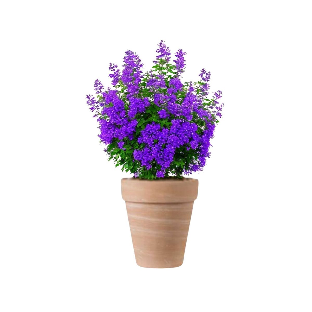 DEROMA - Maceta Alta 22cm TerraDuo Deroma